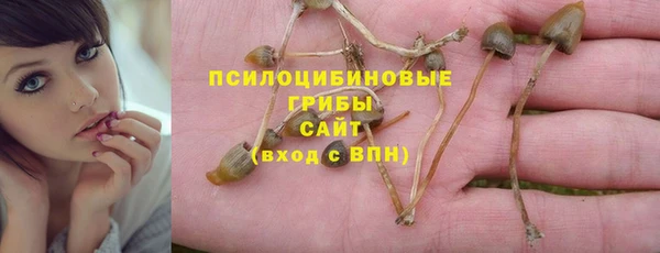 винт Медногорск