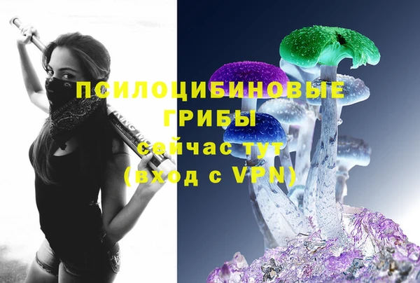 герыч Медвежьегорск