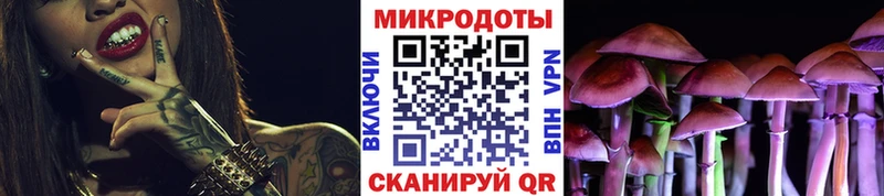 где можно купить наркотик  Саратов  Галлюциногенные грибы Psilocybe 